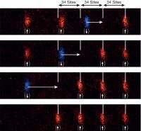 The Spin of the Blue Atoms