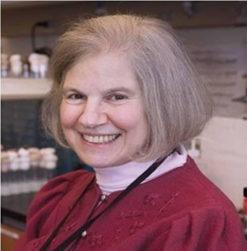 Susan A. Gerbi