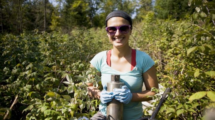 Dartmouth Forest Soil Carbon Study