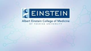 Interview with Dr. Harry Ostrer
