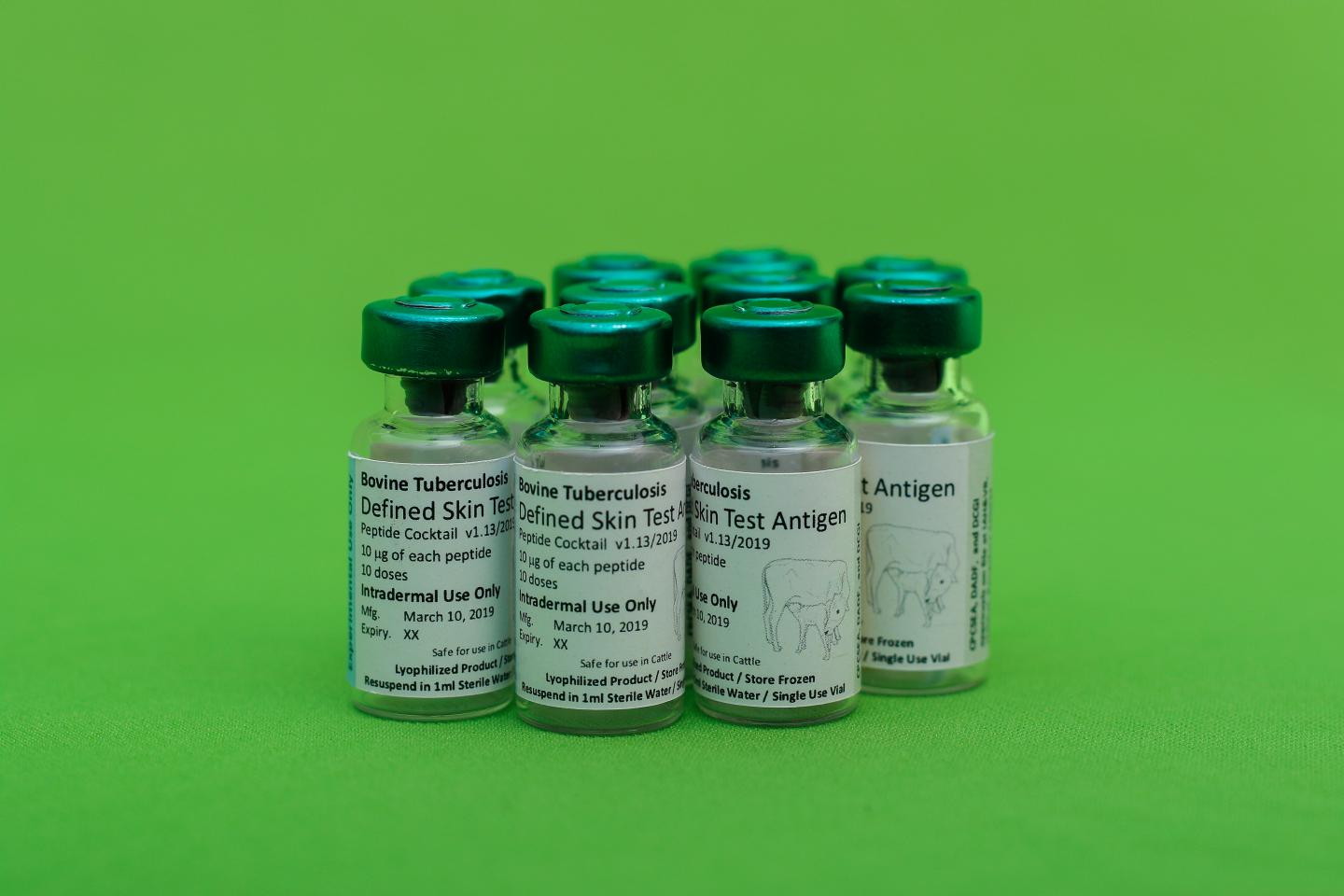 At Last, a Better Test for Bovine Tuberculosis May Improve Disease Control in Developing Countries (7 of 8)