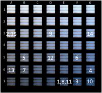Which Piece Resembles Your Color Perception for #theDress Image?