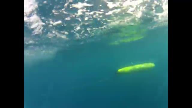 Unmanned Underwater Vehicles