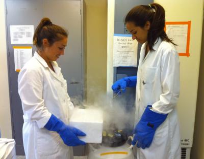 Placing Frozen Coral into Repository