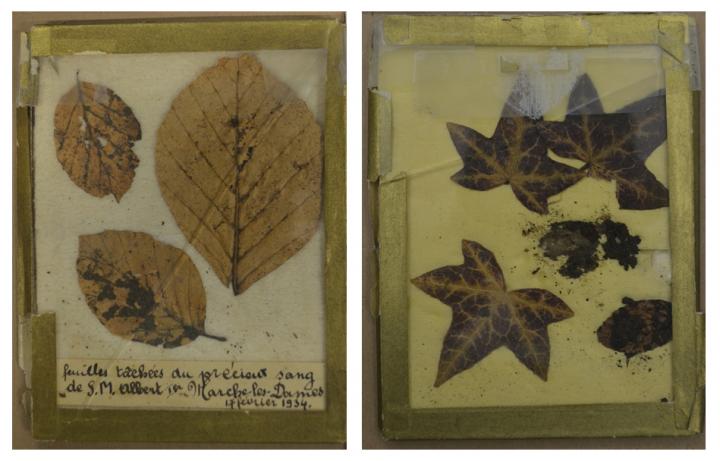 Blood of King Albert I identified after 80 years (Trail of Blood on Relic)