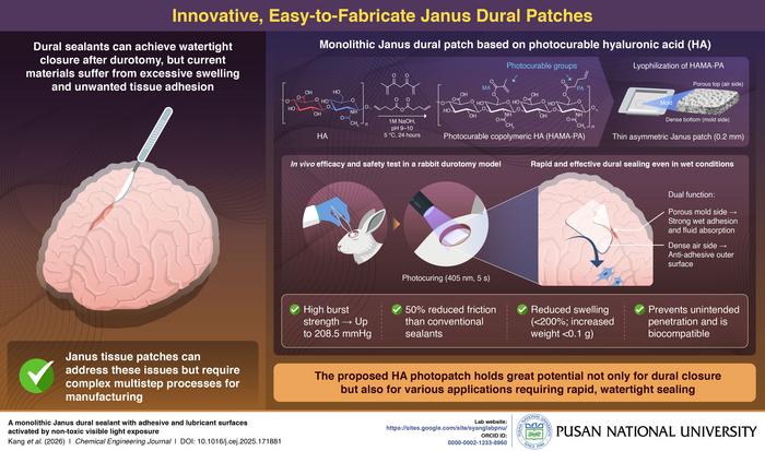 Proposed light-activated monolithic Janus patches