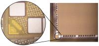 Processor Closeup