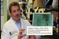 Heart Stem Cell Implant
