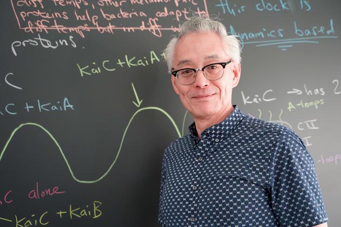 Unlocking the Secrets of Tiny, Living Clocks
