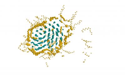 Polymercristallization