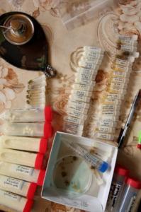 Sample collected from ant yogurt fieldwork in Bulgaria