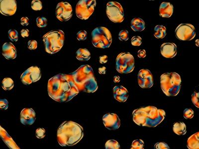 Liquid Crystal Phases from Short Rods 3 (of 7)