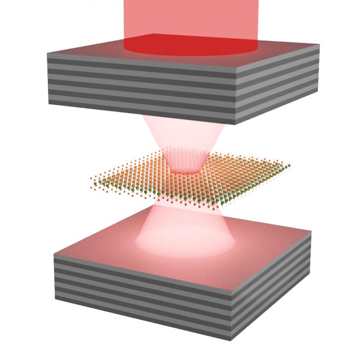 Microcavity