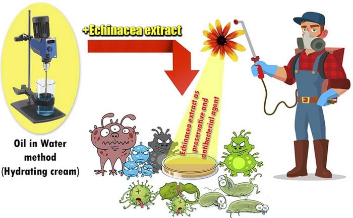 Graphical Abstract