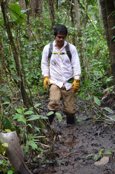 Field Site 