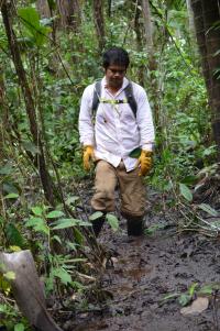 Field Site 