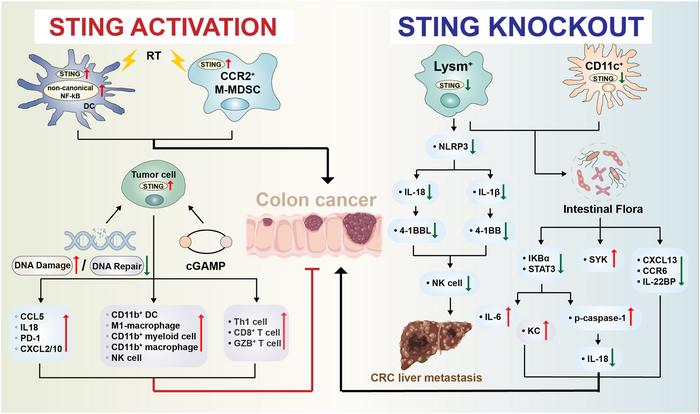 FIG 2