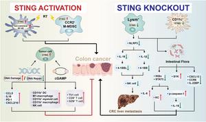 FIG 2