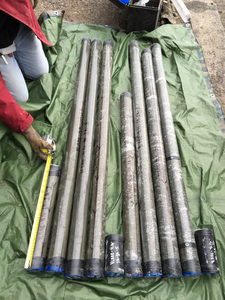 Sediment Cores