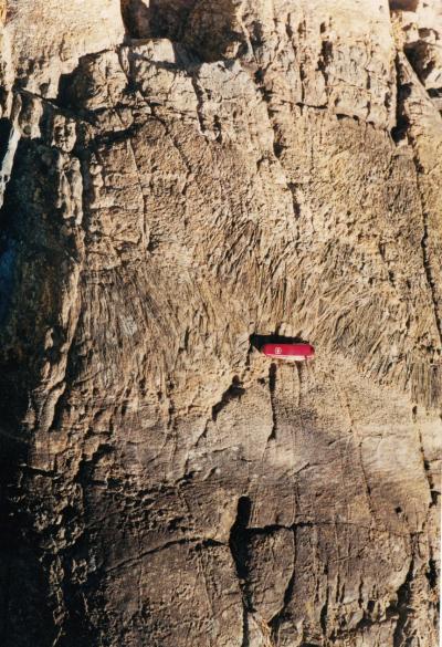 Komatiite Lava