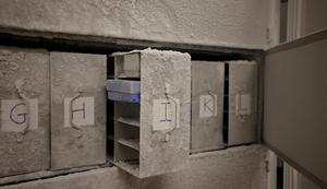 Vault