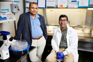 UNLV researchers Prasun Guha and Sujan Chatterjee