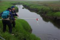 Linda Deegan, MBL, at Plum Island Estuary, Massachusetts
