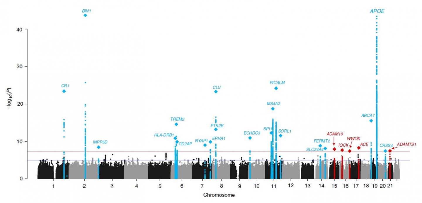 Manhattan Plot of Alzheimer's Genes