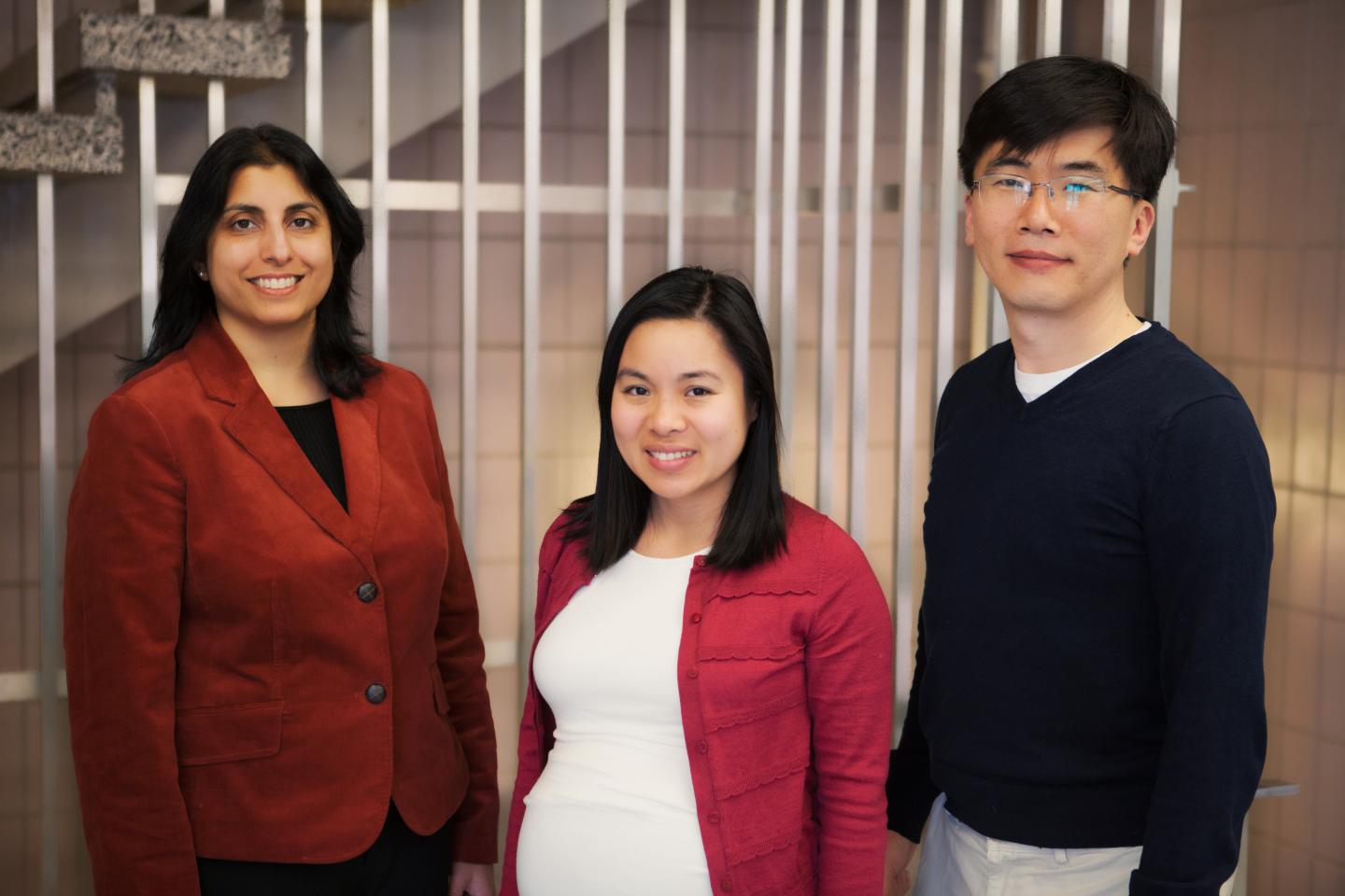 TJ Ha Research Group