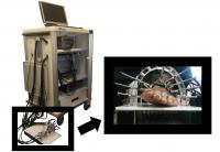 DDOT Imaging of Peripheral Arterial Disease