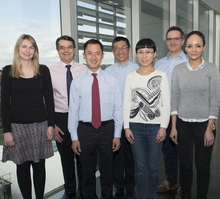 New Compound Shows Promise in Treating Multiple Human Cancers