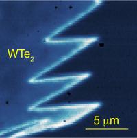 Edge Conduction
