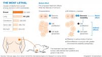 Infographic 2