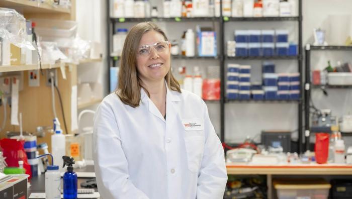 WPI Professor Natalie Farney research could help block lead exposure