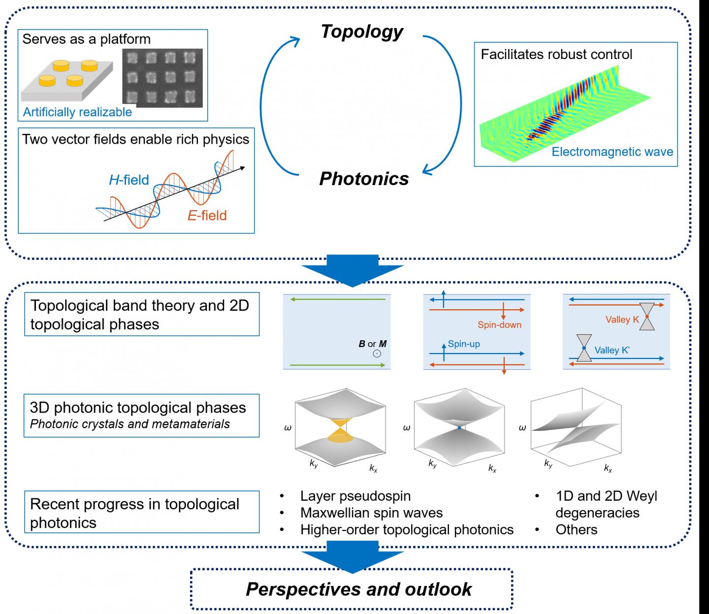 Schematic Overview of the Review