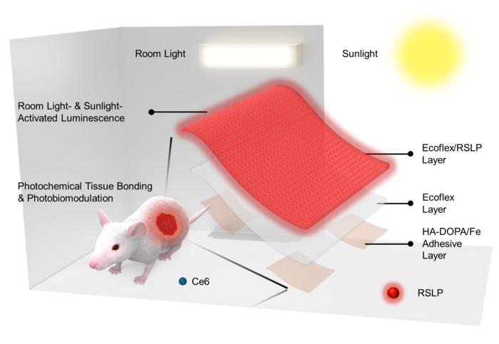 Schematic illustration of a stretchable luminescent patch activated by room light and sunlight, which emits therapeutic red light to promote wound bonding and tissue regeneration