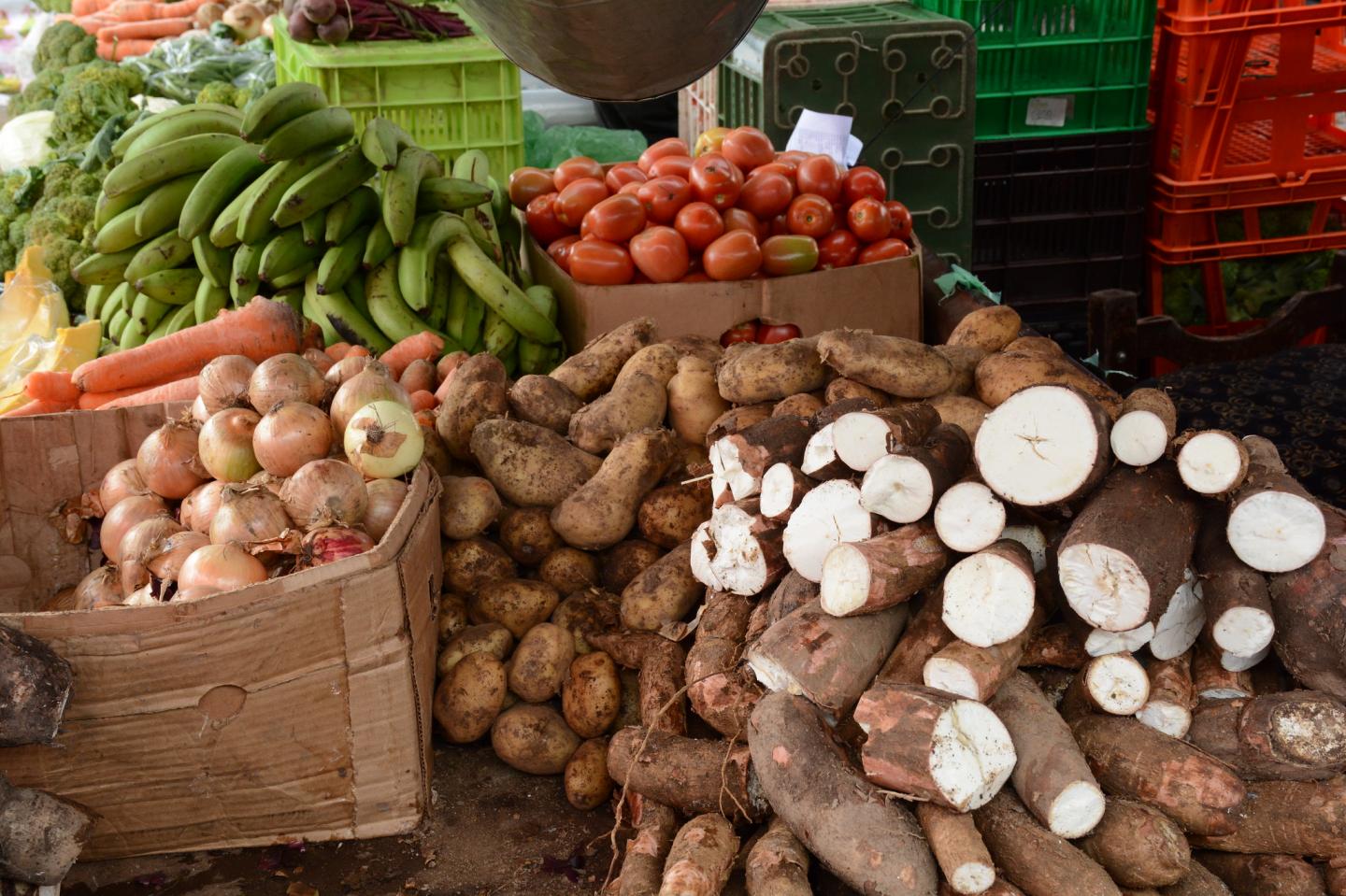 Food Market