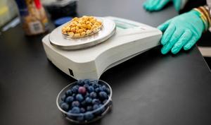 Food as Medicine: Going Beyond Basic Nutrition