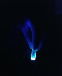 Luminescence of CDs