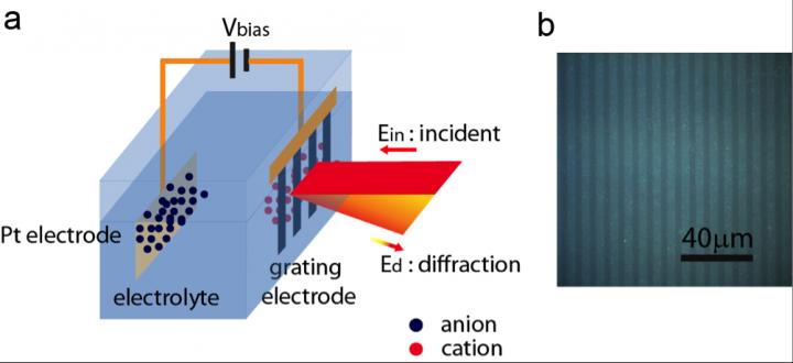 Schematic and Graphene Grating