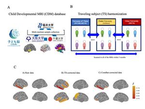 Traveling-subject (TS) harmonized brain imaging data shows reduced measurement bias