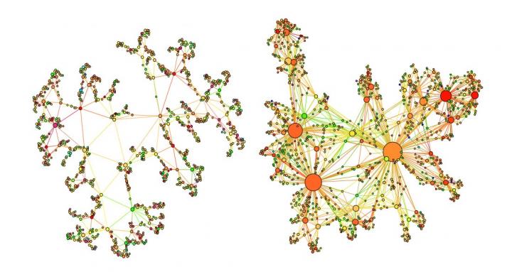 Complex Quantum Network Manifold without Annotations