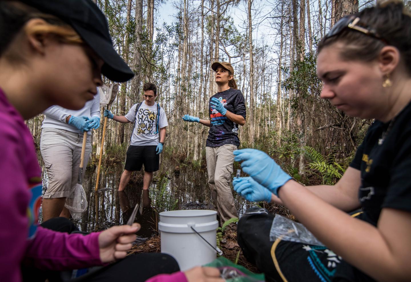 UCF's Savage Frog Research