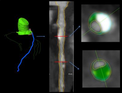 Images from a 62-Year-Old Man