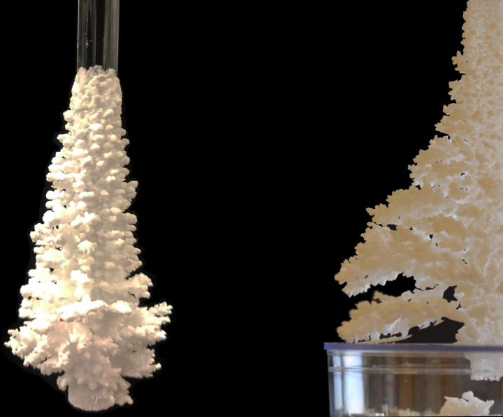 Destructive "Salt Creeping" Controlled with Additives That Suppress Emerging Crystals (1 of 4)