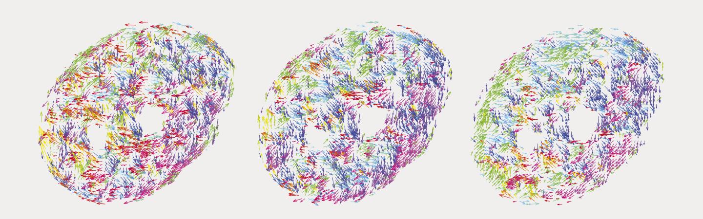Chromatin Motion Measurements