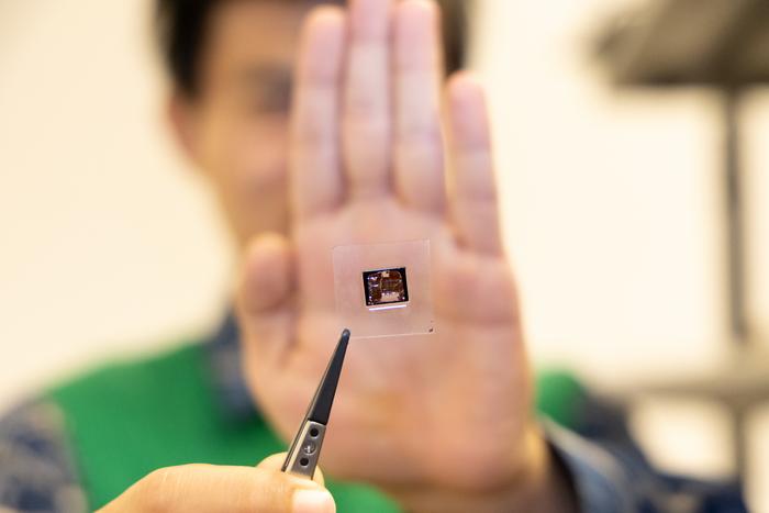 The New Chip