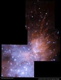 Orion Bullets
