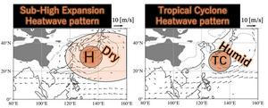 Dominant air circulation during heat waves.