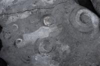 A Close up of One of the Blocks 